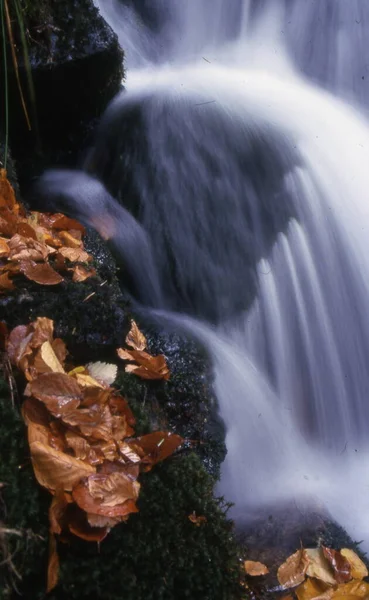 Piękny Wodospad Lesie — Zdjęcie stockowe