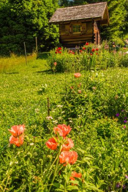 Montroc in Chamonix in Haute Savoie, Fransa