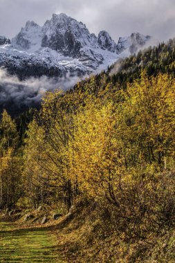 Chamonix, Haute Savoie, Fransa 'da tur.