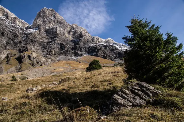 anzeide in gryon in vaud,swiss