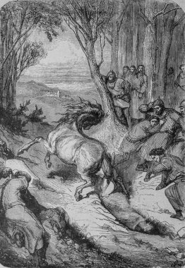 Esmer Ehaut Death597, Düzenleyici Lahure 1880