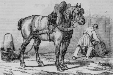 Norman atı, Paris masası Edmond Texier, Yayıncı Paulin ve Şövalye 1852