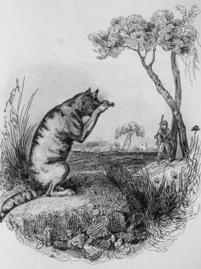 Kedi ve teleskop, Fables de Florian. Victor Adam, Yayıncı Delloye, Desme 1838