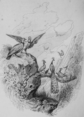 Le Phenix, Fables de Florian Victor Adam, Delloye Yayımcı, Desme 1838