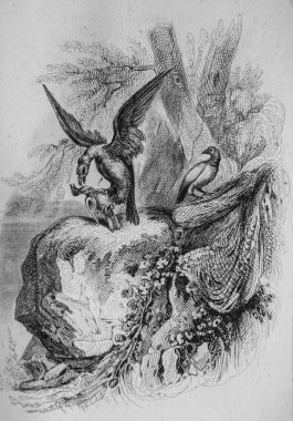 La Colombe ve Nourisson, Fables de Florian Viktor Adam, Editör Delloye, Desme 1838