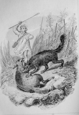 Suçlu köpek, Fables de Florian illüstrasyon: Victor Adam, Delloye Publisher, Desme 1838