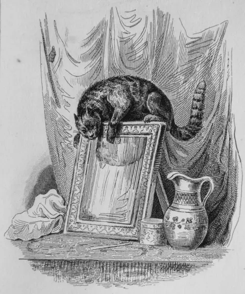 The cat and the mirror, fables of Florian illustrated by Victor Adam, Publisher Delloye, Desme 1838