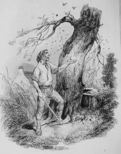 The old tree and the gardener ,, the old tree and the gardener ,, Fables de Florian illustrated by Victor Adam, Delloye Publisher, Desme 1838