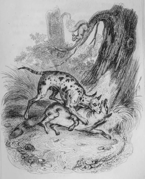 The Ecureuil, the dog, and the fox, Fables de Florian illustrated by Victor Adam, Publisher Delloye, Desme 1838