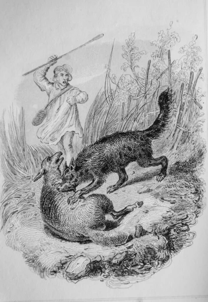 The guilty dog, Fables de Florian illustrated by Victor Adam, Delloye Publisher, Desme 1838
