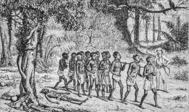 Köleler bir morg ormanını geçiyor, ünlü evren, editör Michel Levy 1868