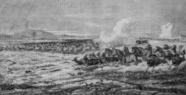 Güney Afrika, Val Nehri ovalarında vahşi sürüler, ünlü evren, editör Michel Levy 1868