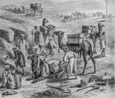 Süveyş Kanalı 'nın toprak işlerinde, meşhur evrende, yayıncı Michele Levy 1869' da kullanılan dostlar.