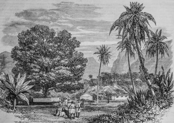 Kaptan Cook 'un Tamarinier' i Ile de Tahiti 'de,' Ünlü Evren, Yayıncı Michele Levy 1869