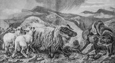 Bir kovboy buluşması, ünlü evren, Michele Levy 1869 Yayımcı