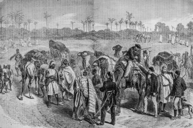 Orta Afrika Seferi Doktor Nachtigal 'in başlangıcı Bornu Sultanı, Meşhur Evren, Yayımcı Michele Levy 1869