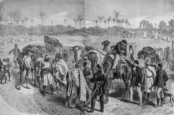 Expedition in Central Africa Start of Doctor Nachtigal for the States of the Sultan of Bornu, the Illustrious Universe, Publisher Michele Levy 1869