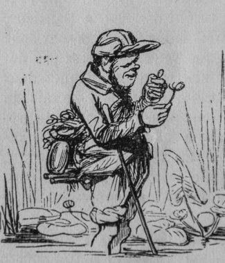 Botanikçi, Fransızlar kendi başlarına resim yaptılar, eitor N.J. Philippart 1861