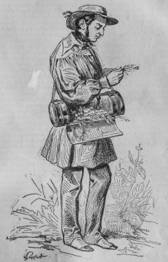 Botanikçi, Fransızlar kendi başlarına resim yaptılar, eitor N.J. Philippart 1861