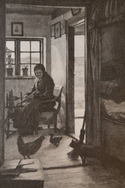 Kötü kalpli ördek yavrusu, Andersen 'in hikayeleri, Hans Tegner' ın çizimleri, Yayımcı Boivin ve Cie 1870