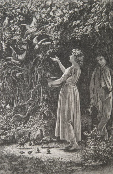 Bernadin de Saint Pierre, Paul ve Virginie çizimleri De la Charrie, editör Lemerre 1783