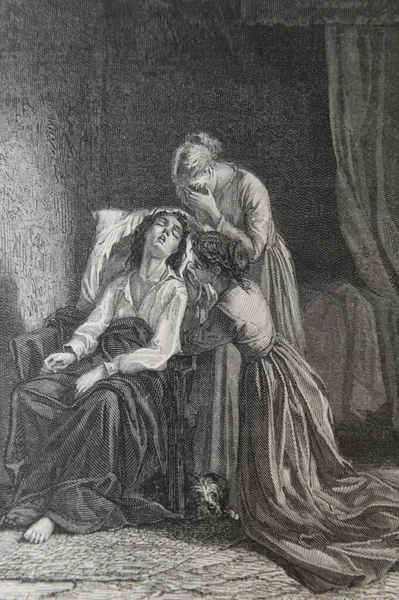 Bernadin de Saint Pierre, Paul ve Virginie çizimleri De la Charrie, editör Lemerre 1783