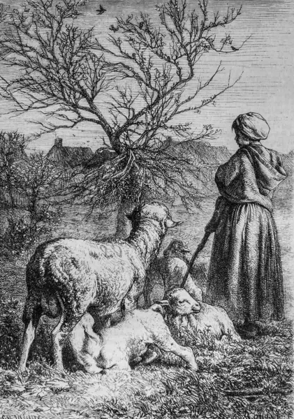 une bergere ,le magazin pittoresque par m. edouard charton 1870