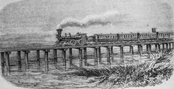 Güney Carolina 'da bir bataklıkta demiryolu inşa edildi, Bayan Edouard Charton' ın 1870 tarihli pitoresk dergisi.