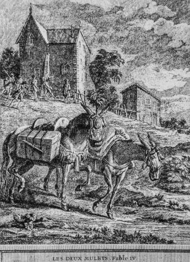 İki katır, Fables de la Fontaine, yayıncı Talan, Dier 1904, J.B.oudry 'nin çizimi.
