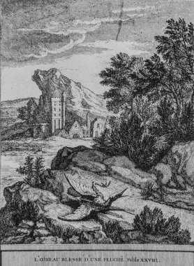 Kuş, J.B.oudry 'nin çizdiği 1904 tarihli Talan editörü de la Fontaine masallarıyla acı çekiyor.