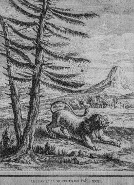The Lion and the Moucheron, Fables de la Fontaine, Talan Publisher, Dier 1904, Çizim: J.B.oudry