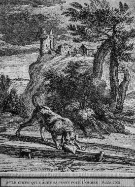 Gölge için avını bırakan köpek, çeşmenin masalları, yayıncı Talan, dier 1904, J.B.oudry 'nin çizimi.