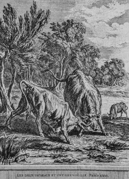 İki boğa ve bir kurbağa, Masallar de la Fontaine, Talan editörü, dier 1904, çizim J.B.oudry
