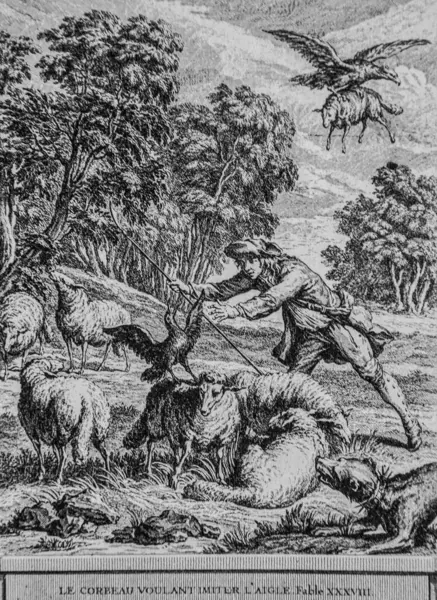 Kartal taklidi yapmak isteyen karga, de la Fontaine masalları, yayıncı Talan, Dier 1904, J.B.oudry çizimi.