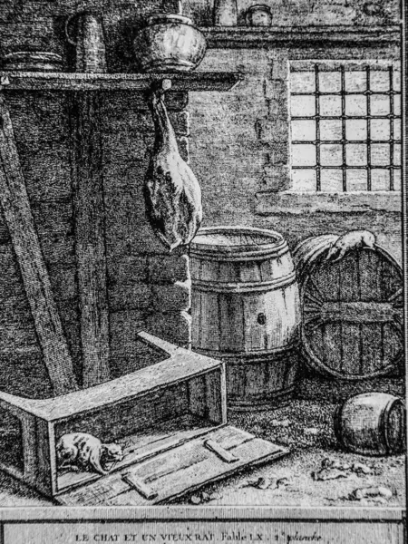 Kedi ve yaşlı sıçan, Fables de la Fontaine, yayıncı Talan, Dier 1904, J.B.oudry 'nin çizimi.