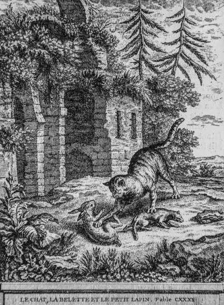 Kedi, gelincik ve küçük tavşan, fars de la fontaine, yayıncı Talan, Dier 1904, J.B.oudry 'nin çizimi.