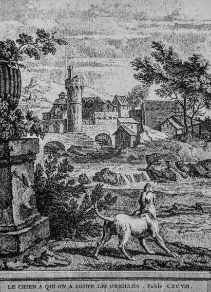 Kulaklarımızı kestiğimiz köpekler, de la Fontaine masalları, yayıncı Talan, dier 1904, J.B.oudry tarafından çizilen