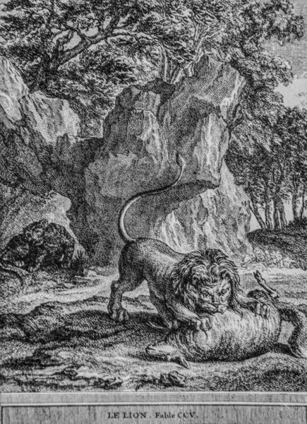 Le Lion, Fables de la Fontaine, Talan Publisher, Dier 1904, Drawing by J.B.oudry