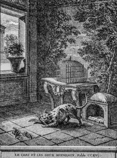 Kedi ve iki serçe, de la Fontaine masalı, yayıncı Talan, Dier 1904, J.B.oudry 'nin çizimi.