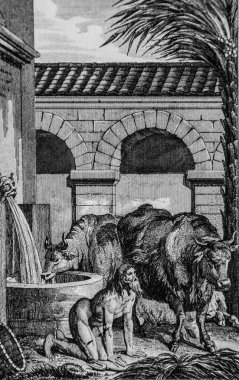 İnsanlık Şirketi 'nden Nabuchodonosor Chasse, Eski Ahit, Maistre de Sacy' den İncil, Yayımcı Guiraudet ve Jouaust 1836