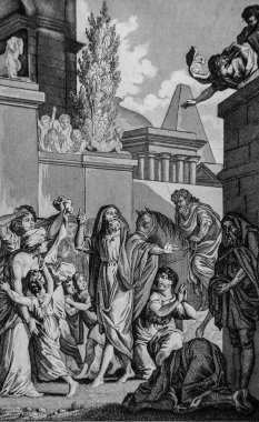 Jonas, Minerve 'nin yıkımını, eski vasiyetini, Le Maistre de Sacy' nin İncil 'ini, Yayımcı Guiraudet' i ve Jouaust 1836 'yı öngörüyor.