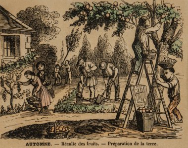 Bahçıvanlık, okul eğitimi için popüler betimleme, Ernest Meyer 1900 Yayımcı