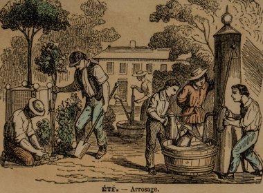 Bahçıvanlık, okul eğitimi için popüler betimleme, Ernest Meyer 1900 Yayımcı