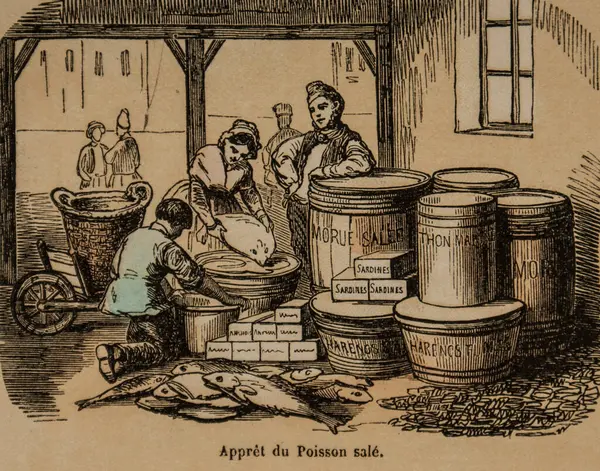 Masa balığı, okul çocukları için popüler betimleme, editör Ernest Meyer 1900