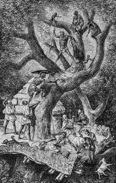 Şef Gaberi 'nin ağacına yapılan saldırı, Afrika' nın fethi Paul Gaffarel tarafından, baskı Hachette 1898
