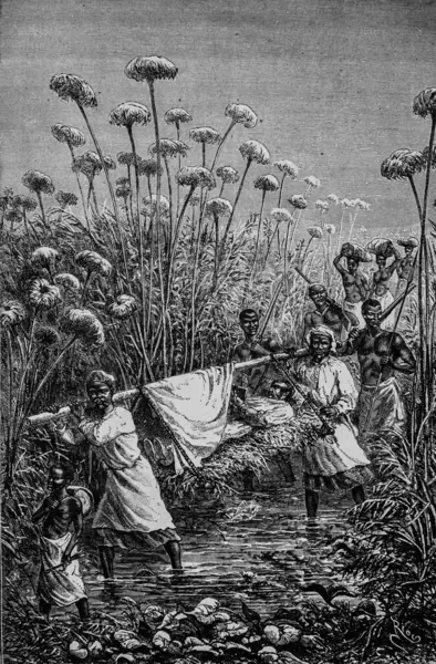 Livingstone bataklıklarda yürüyor, Afrika 'nın fethi Paul Gaffarel tarafından, baskı Hachette 1898