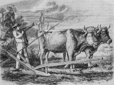 Fransa 'nın merkezinin sabanı, resim dükkanı, editör Edouard Charton, 1860