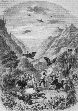 Akbaba avı, resimli dergi, editör Edouard Charton, 1860