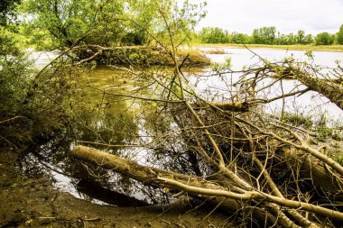 Nehir Loire in Sancerre in bourgogne