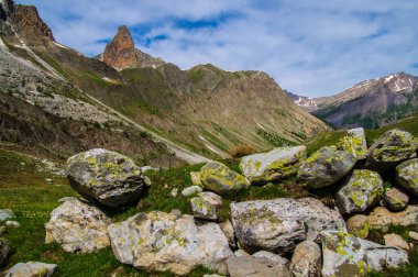 Fransa 'daki Alpes-de-Haute-Provence' de bir şişe Mary.